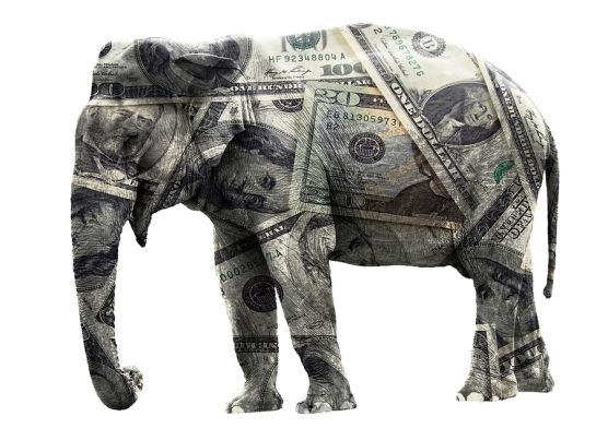 banking elephant